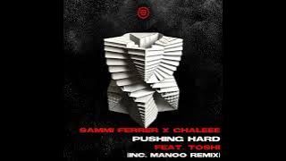Sammi Ferrer, Chaleee & Toshi - Pushing Hard (Manoo Remix) | Afro House Source | #afrohouse