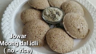 without rice - jowar moong dal idli- gluten free - breakfast recipe- idli recipe