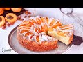 Gluten-Free Apricot Almond Cake - Easy and Quick Summer Dessert Recipe