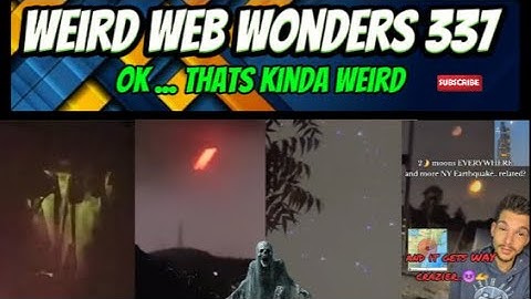 weird web wonders 337
