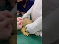 ⑨グリーンイグアナのしゅんちゃんの治療、注射