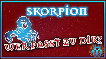 Was passt zu einem Skorpion?