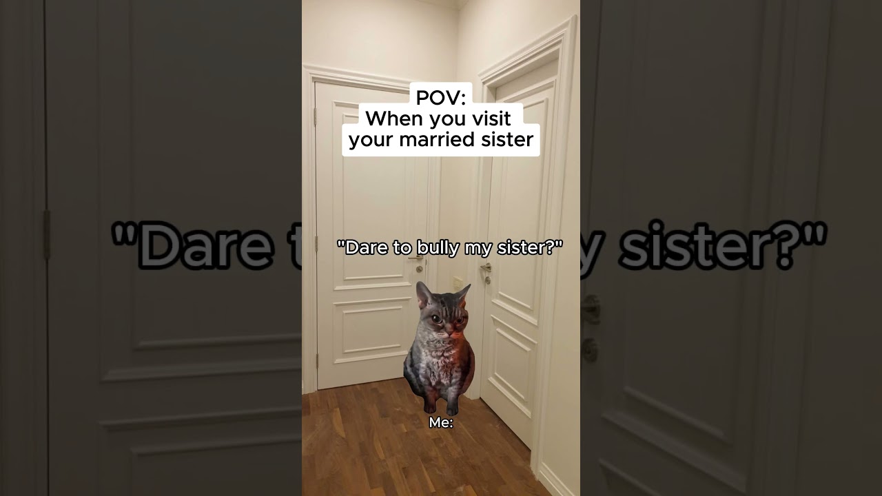 CAT MEMES 🐱 When you visit your married sister 