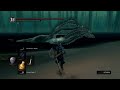 Dark Souls Remastered Kaladin 74