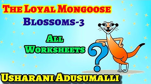 The Loyal Mongoose/Blossoms-3/All Work Sheets in One Video/English/Work Book/Ap New Syllabus/Class-3