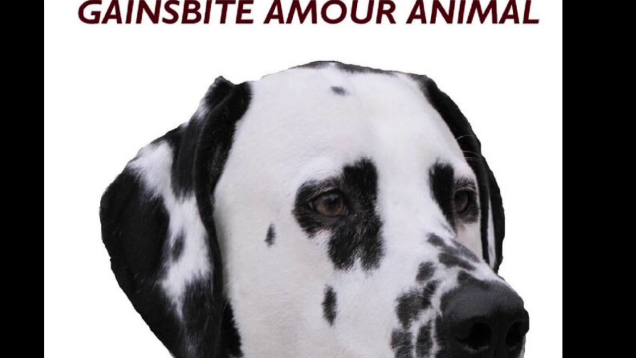 Gainsbite « dans le parking sud de Laval »