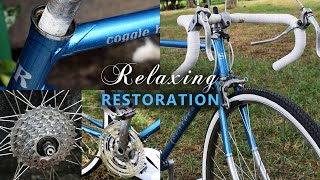 Restoration - Antidepressant Bike Restoration??? (Must Watch)