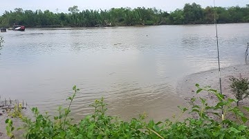 Chia sẻ điểm câu ở An Thới Đông - Cần Giờ, điểm câu nhiều cá út lớn.