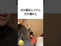 犬の真似してたら犬が壊れた