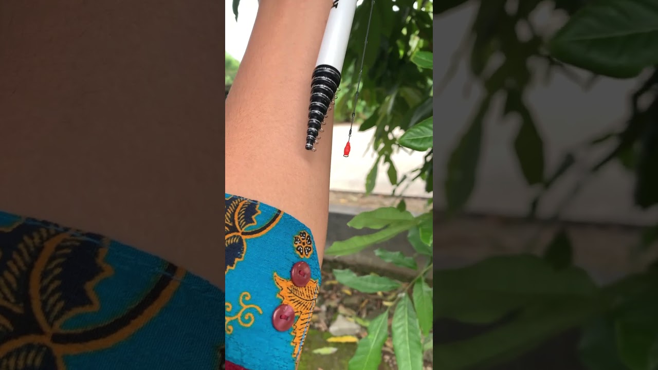 Tegek Rawit 360 Custom 300 medium hard