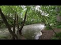 Nature Experience of Black Forest in VR #5: Evening at the River to Relax and Calm Down