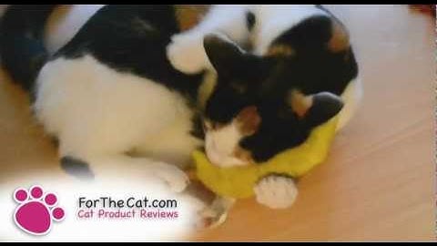 REVIEW - Cosmic cat Banana catnip toy