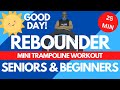 25 Min Mini Trampoline Rebounder Exercise Workout with Stability Bar | Beginners &amp; Seniors Friendly