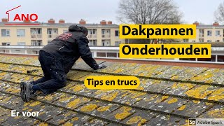 Dakpannen reinigen -  Bekijk de video en leer hoe dat moet