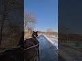Nostress moldova moldovamea cal cavalo cavalli turismo