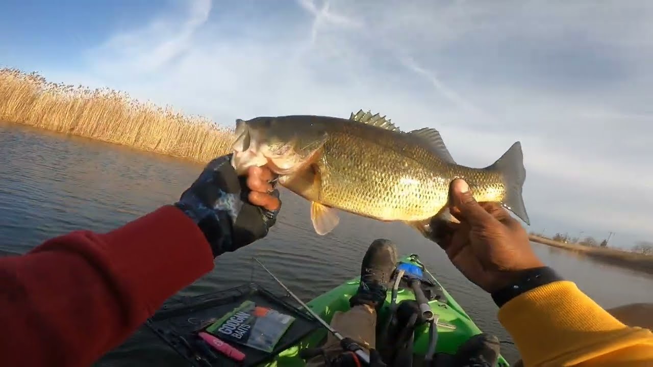Harsens Island Big Bass Fishing 2025 (Part2)