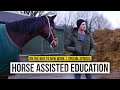 Horse Assisted Education | Our Self-Experiment | On The Way To New Work Podcast Special Episode
