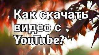 Как скачать видео с YouTube без программ? Как скачать видео с YouTube без программ?