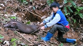 FULL VIDEO: 10 days of setting wild boar traps, catching fish, trapping eels | Bac's survival skills