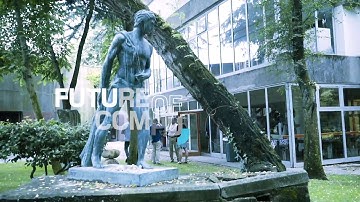 Mind the Future: on how we predict the unpredictable by Heitor Alvelos