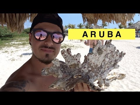 Video: 6 Fantastici Viaggi: I Molti Modi Per Vivere Aruba