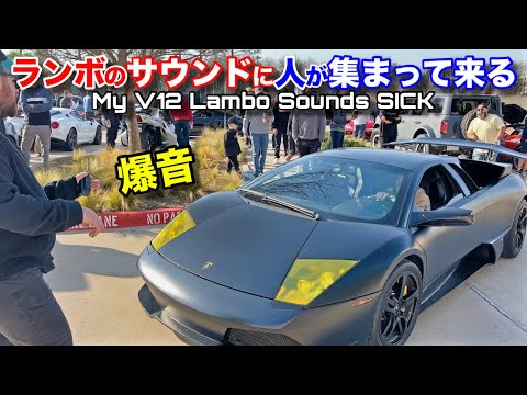 ランボルギーニに乗ると車好きが集まる！V12の爆音に大注目！ The Sound of My V12 Lambo is So SICK!