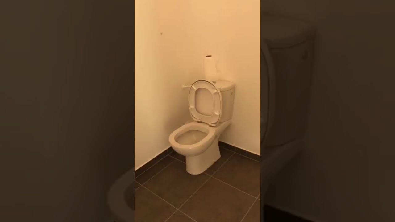 Visite T3 - 60m2 - Alfortville (TOU)