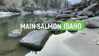 Main Salmon 2021