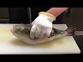 FUGU Fish : Filleting Most Poisonous FISH in the World