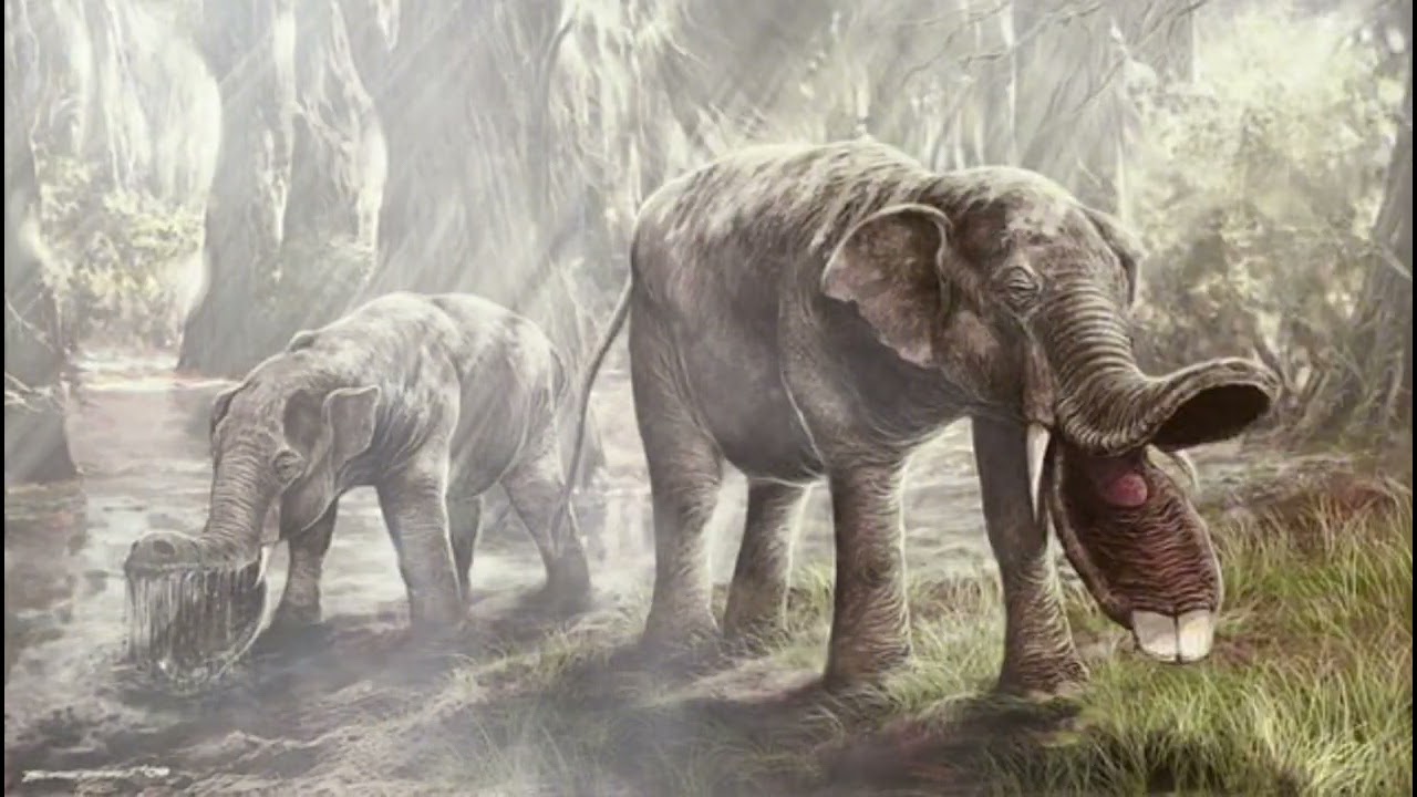 Platybelodon: The Bizarre Shovel-Tusked Elephant of Prehistory