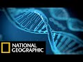 Children of adam  national geographic dna documentary