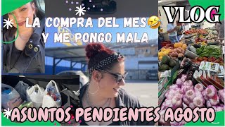 AUGUST PENDING MATTERS - 🛒🤒 Vlog: I show you my grocery haul and I'm feeling under the weather⎥Mo...