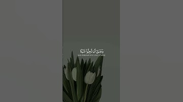 الأية 216 من سورة البقرة 🎧