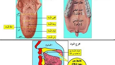 تعلَّم التجويد 2- التفخيم والترقيق