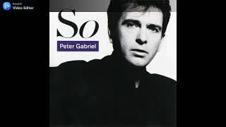 Peter Gabriel - This Is the Picture (instrumental)