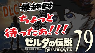 【はじめてのゼルダの伝説】＃79　図鑑うめるぞ！！！【BotW】