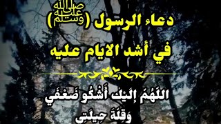 (دعاء الرسول (ﷻ) في اشد الايام عليه ) اللّهُمّ إلَيْك أَشْكُو ضَعْفَ قُوّتِي ، وَقِلّةَ حِيلَتِي ...