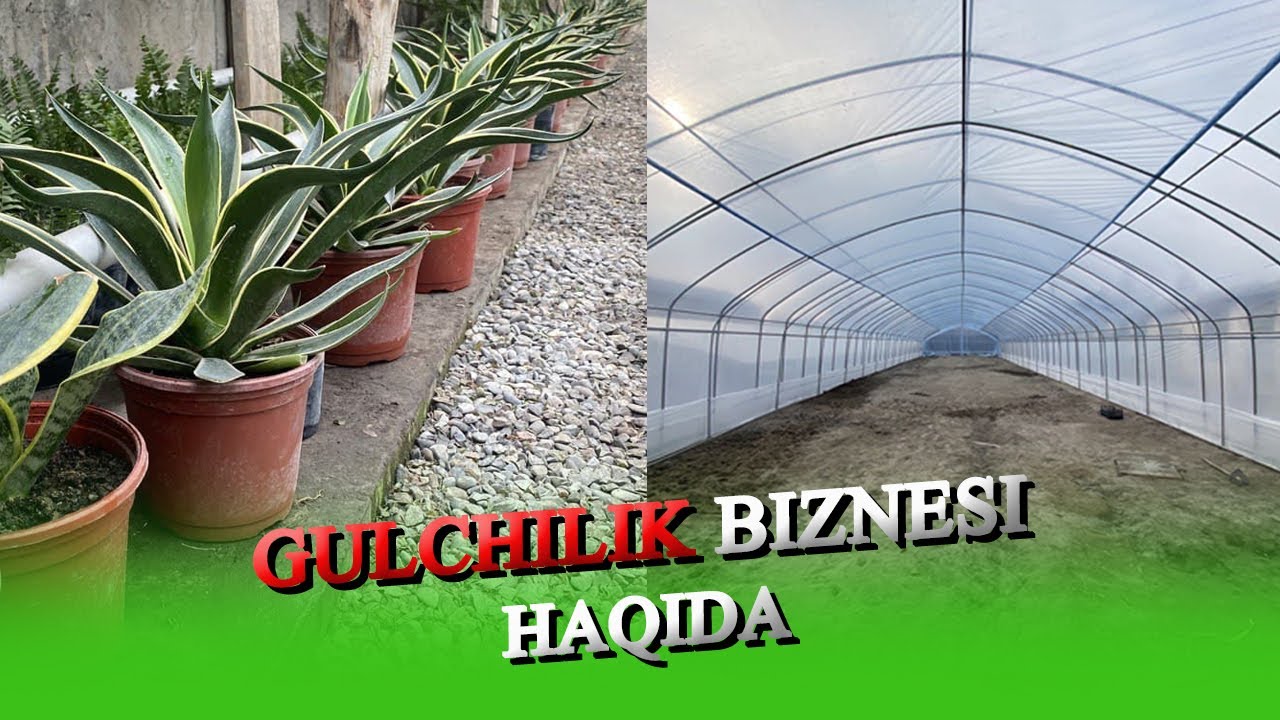 TEPLITSADA GULCHILIK BIZNESI