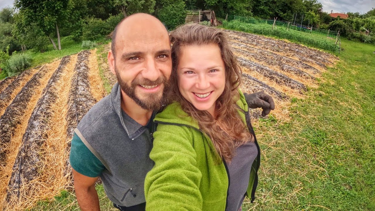 Живот на СЕЛО: Как изградихме КАПКОВОТО си напояване  ☼ Имение ХАЛО ☼