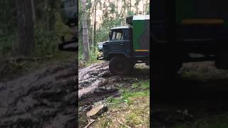#шишига #газ66 #вездеход #монстртрак #трофирейд #автодом #экспедиция #бездорожье #4х4 #offroad