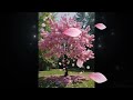 Dew Drops and Tears (By: Choir Of Ash)