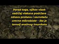 11 Zdravstvenih Prednosti Semenki Bundeve | Superhrana za Srce, Prostatu i Imunitet