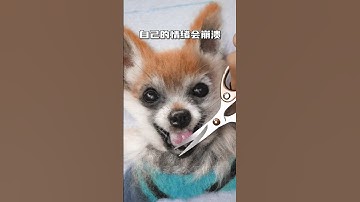 Handmade Needle Felted Dog by Maria Callary Toys – Unique & Eco Friendly Decor