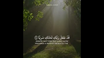 سورة مريم   القارئ سالم الرويلي