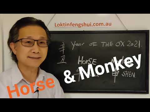 Video: Eastern Compatibility Horoscope: Horse And Monkey