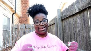 HYDRANGEAS FOR FREE // HOW TO DIVIDE HYDRANGEAS