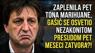 Maja Jakišić Zaplenila 5 Tona Marihuane Gašić Se Osvetio Presudom Od 5 Meseci Zatvora?