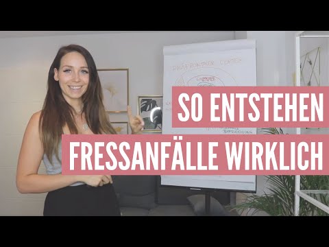 FRESSANFÄLLE - Wie sie entstehen (Teil 1:Neurologischer Grund) - Jackie Freitag