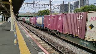8月18日新川崎駅 吹田A6運用 3064レ EF66 123