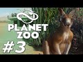 Planet Zoo: Australian Pack - The Kanga-Zoo! (Part 3)